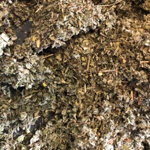 No.46 Herbal Blend Mix - Peppermint Mugwort Raspberry Marshmallow Damiana - Organic Bulk Cut Sifted c/s Tea